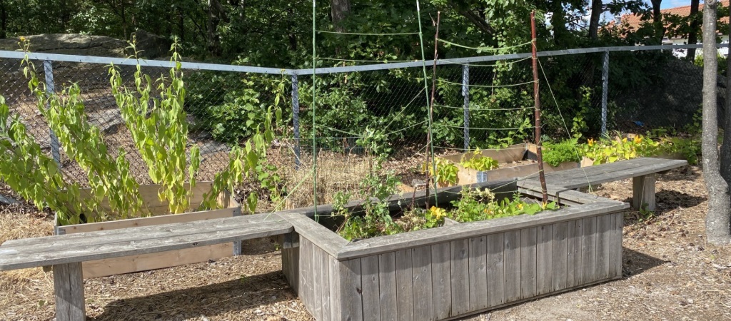 Kjøkkenhage i Linerla